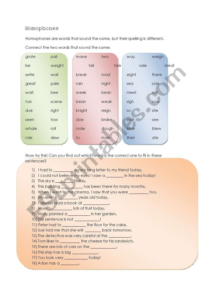 Homophones worksheet