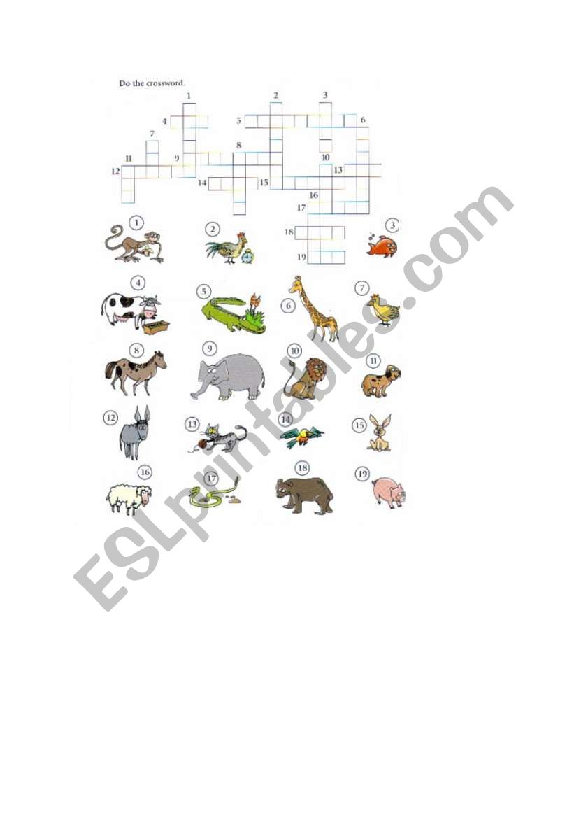 Animals worksheet