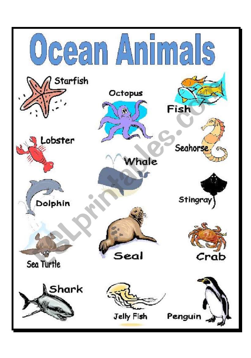 Ocean Animals - ESL worksheet by slaurence
