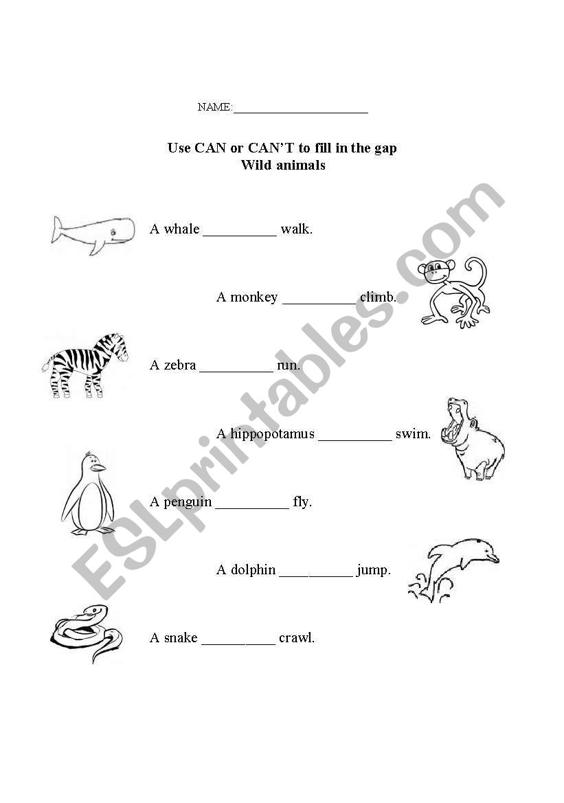 Wild Animals CAN/CANÂ´T worksheet