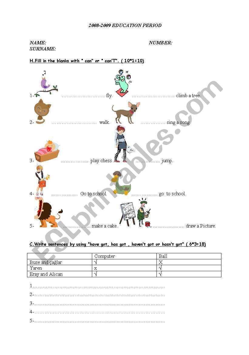 a ws for elementary level students including can,cant  , jobs , adj etc.