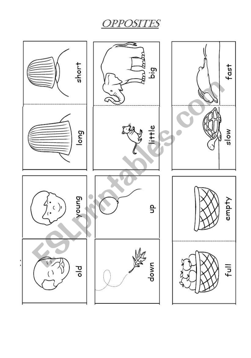 Opposites worksheet