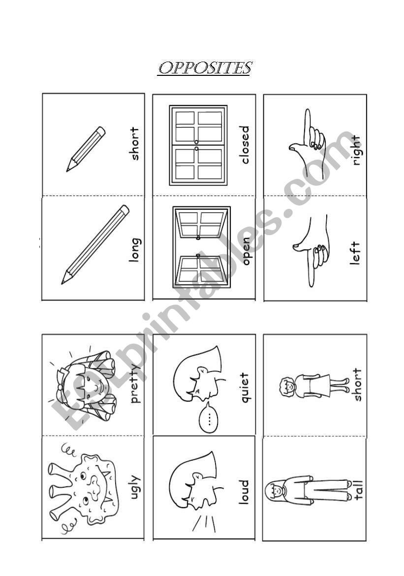 opposites worksheet