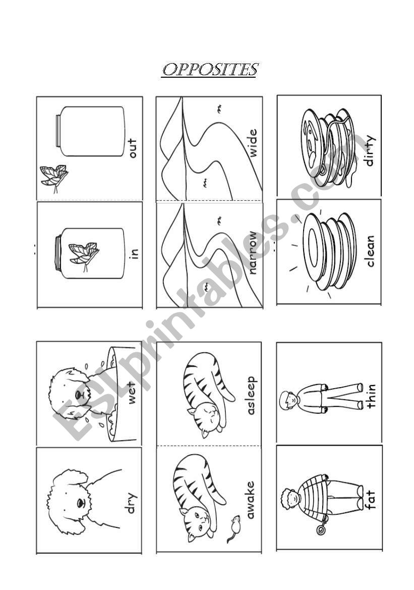 opposites worksheet