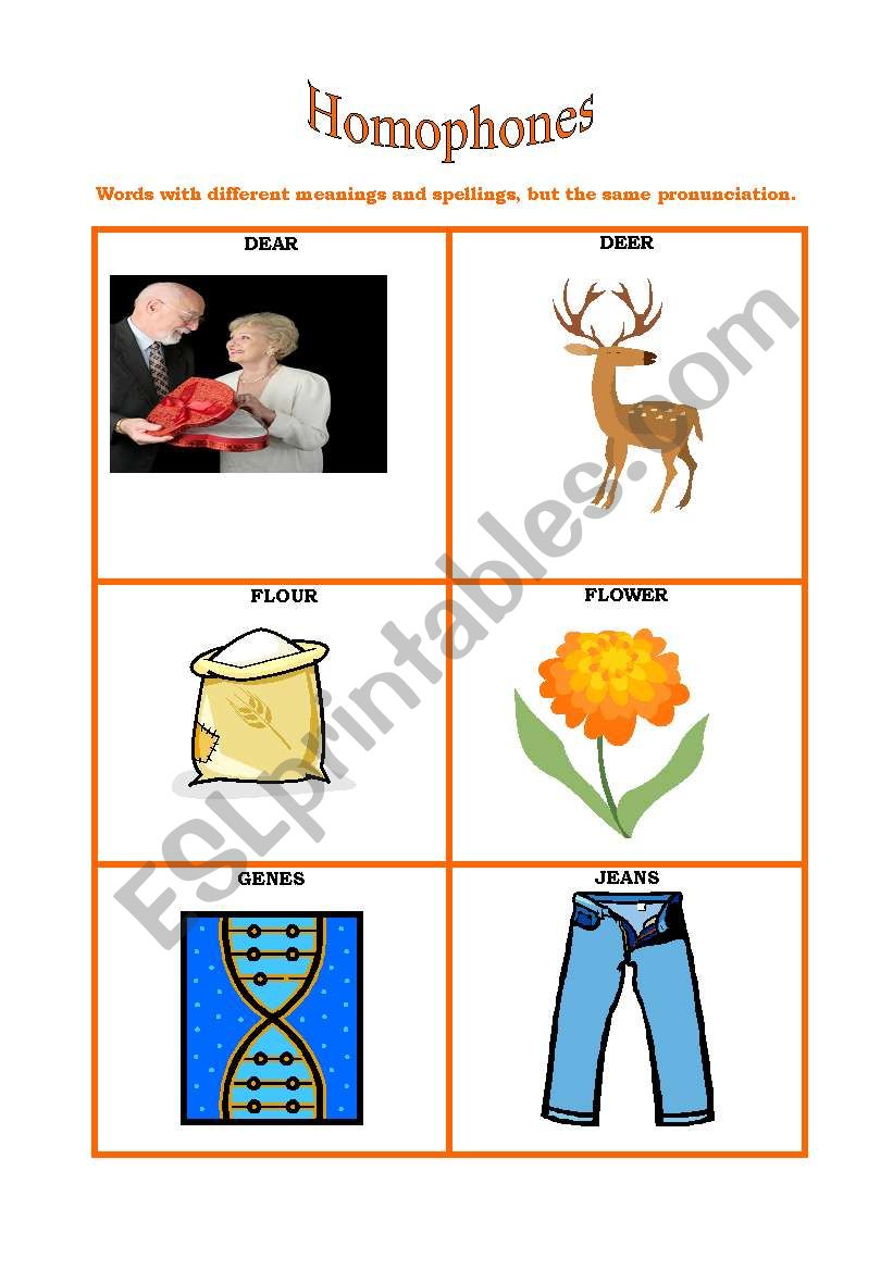 HOMOPHONES 2/5 worksheet