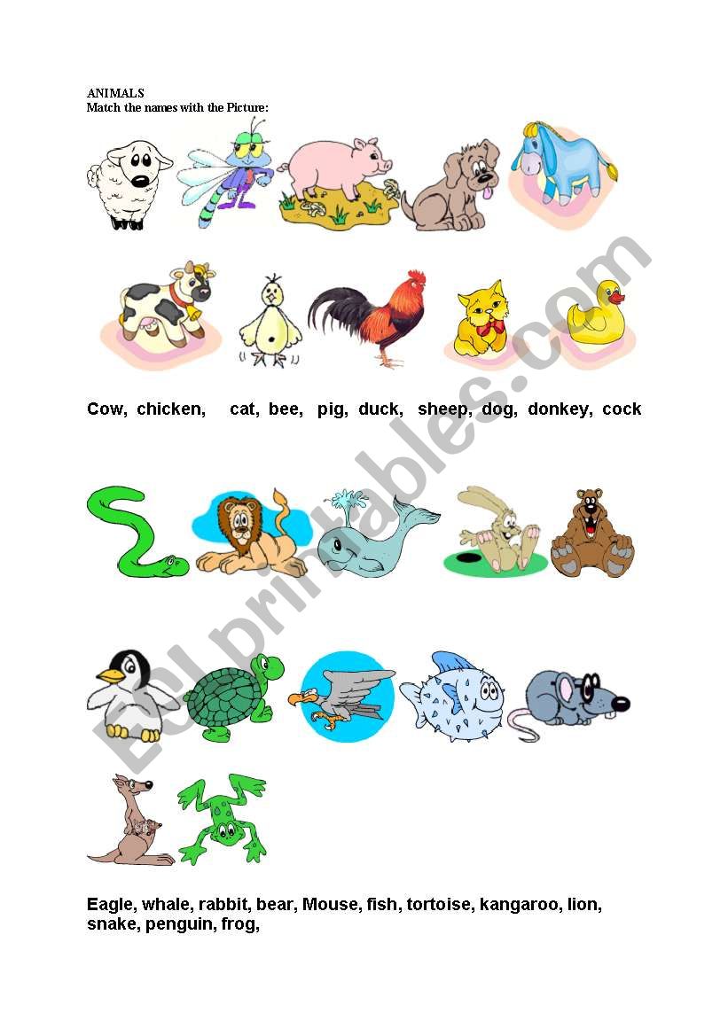 Animals worksheet