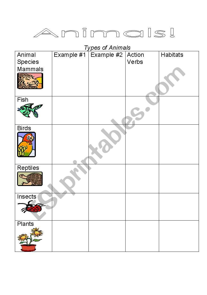 Animals Worksheet worksheet