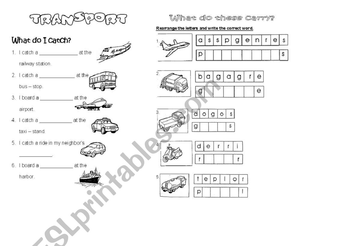 Transport worksheet