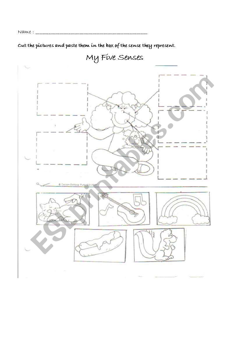 My Five Senses !! worksheet