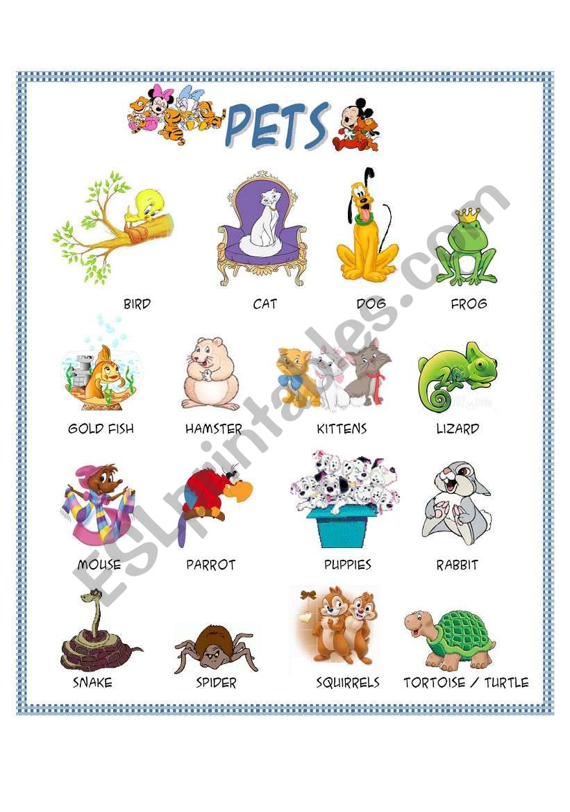 Pets worksheet