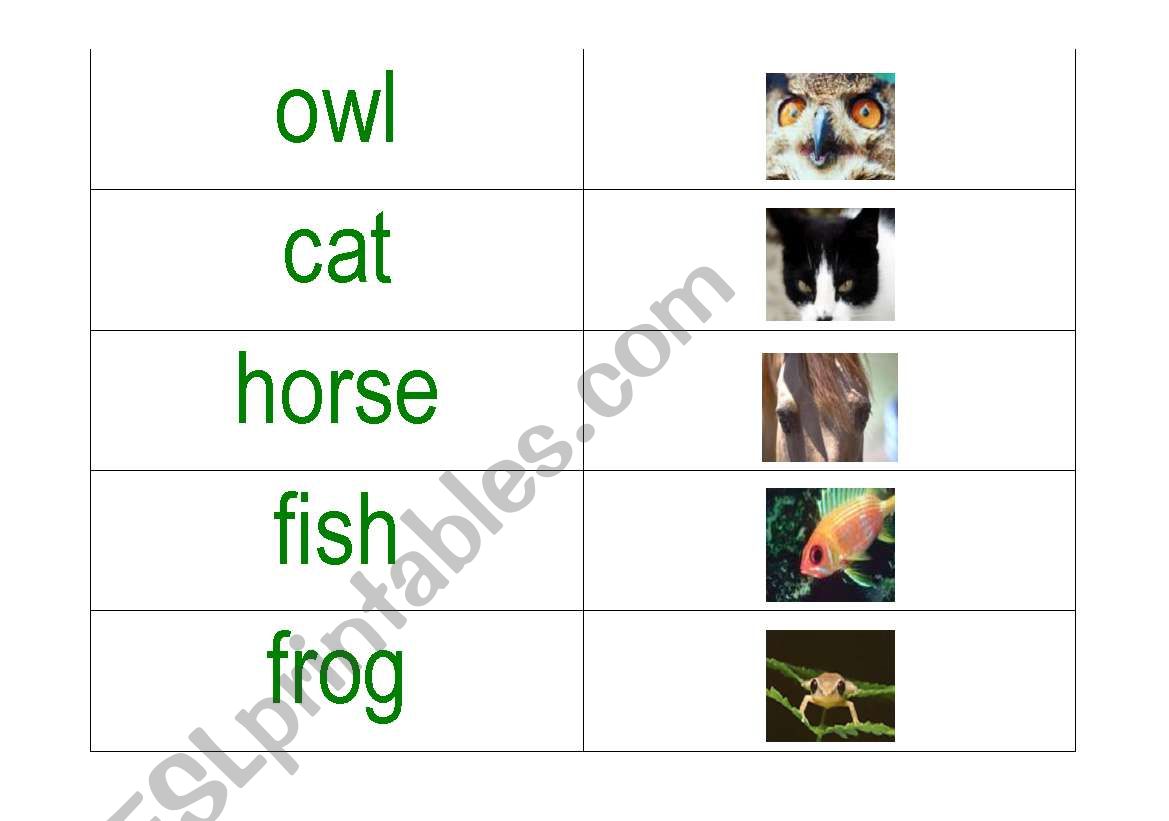 animal word picture cards worksheet