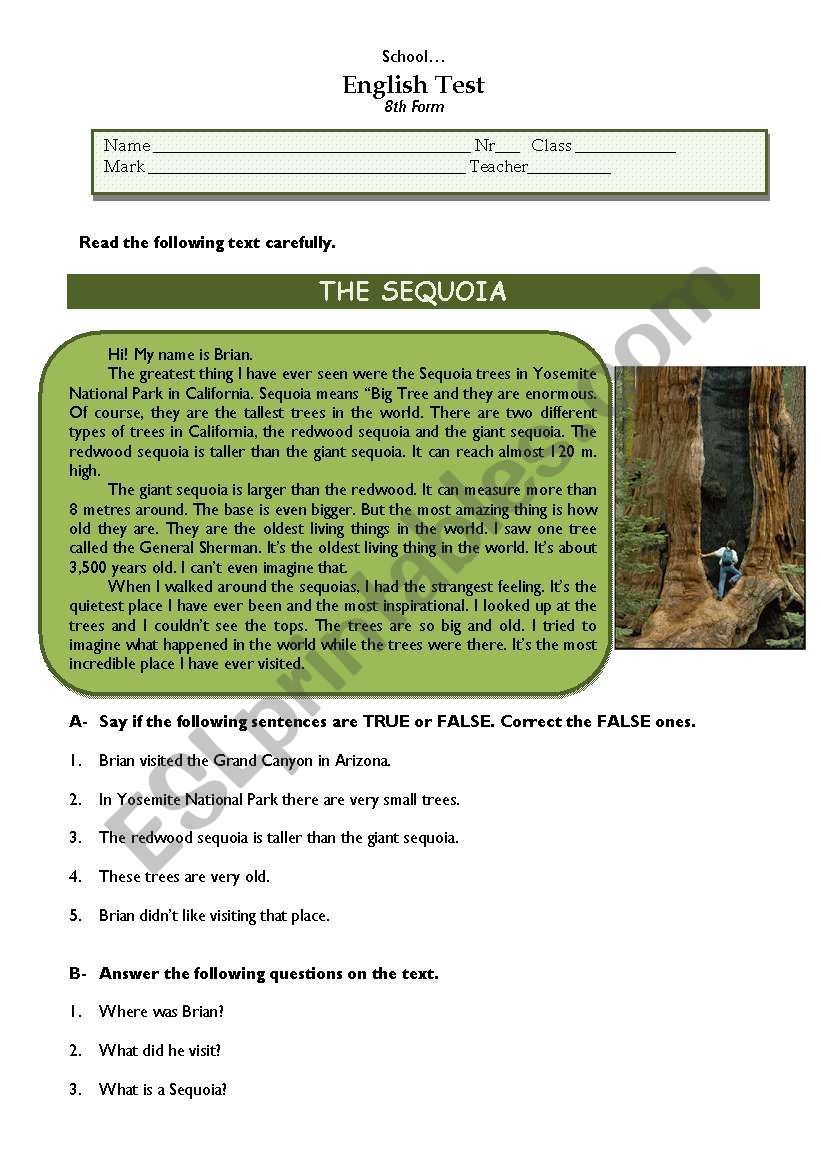 Test - Sequoia trees worksheet