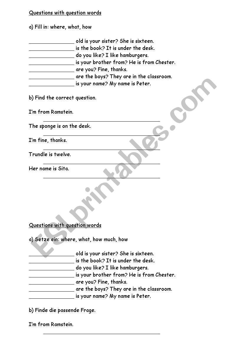 Questions with question words worksheet