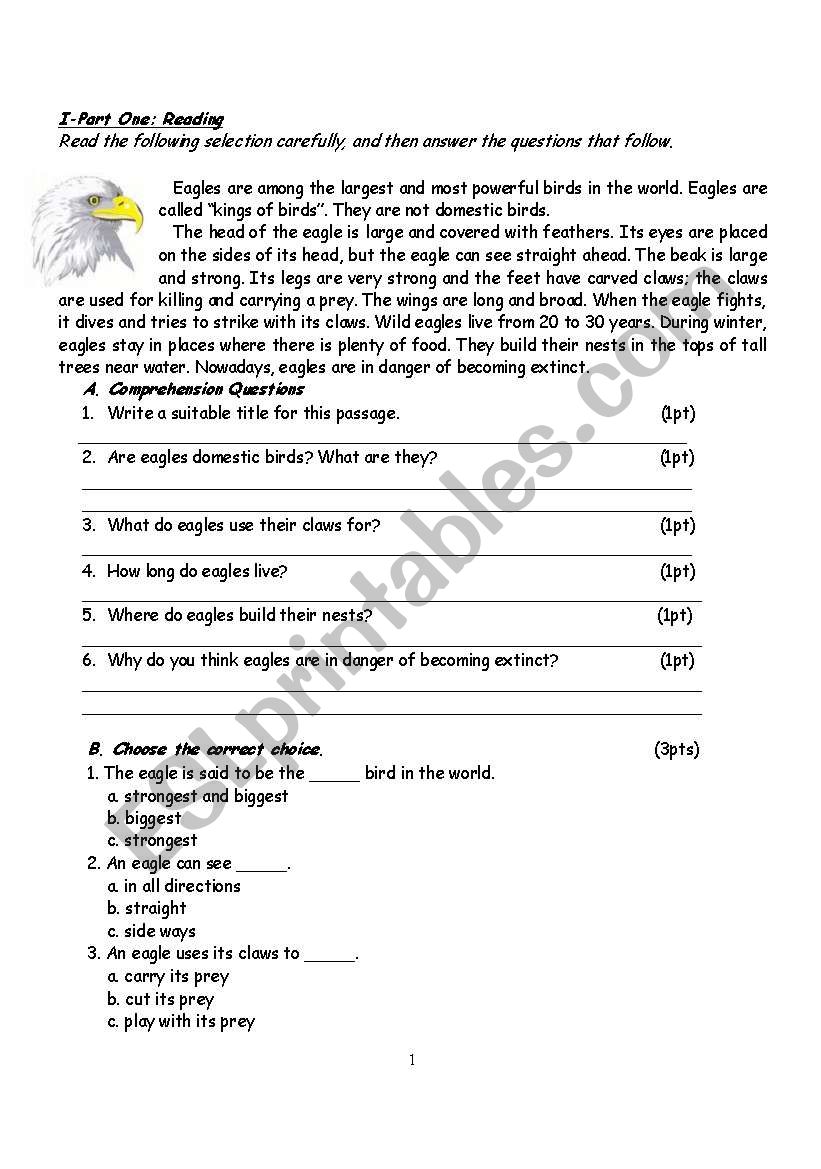 Eagles worksheet