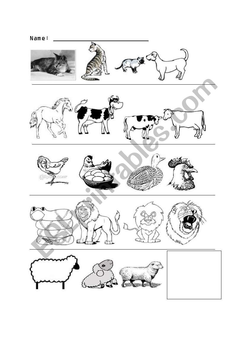 differences in farm animals worksheet