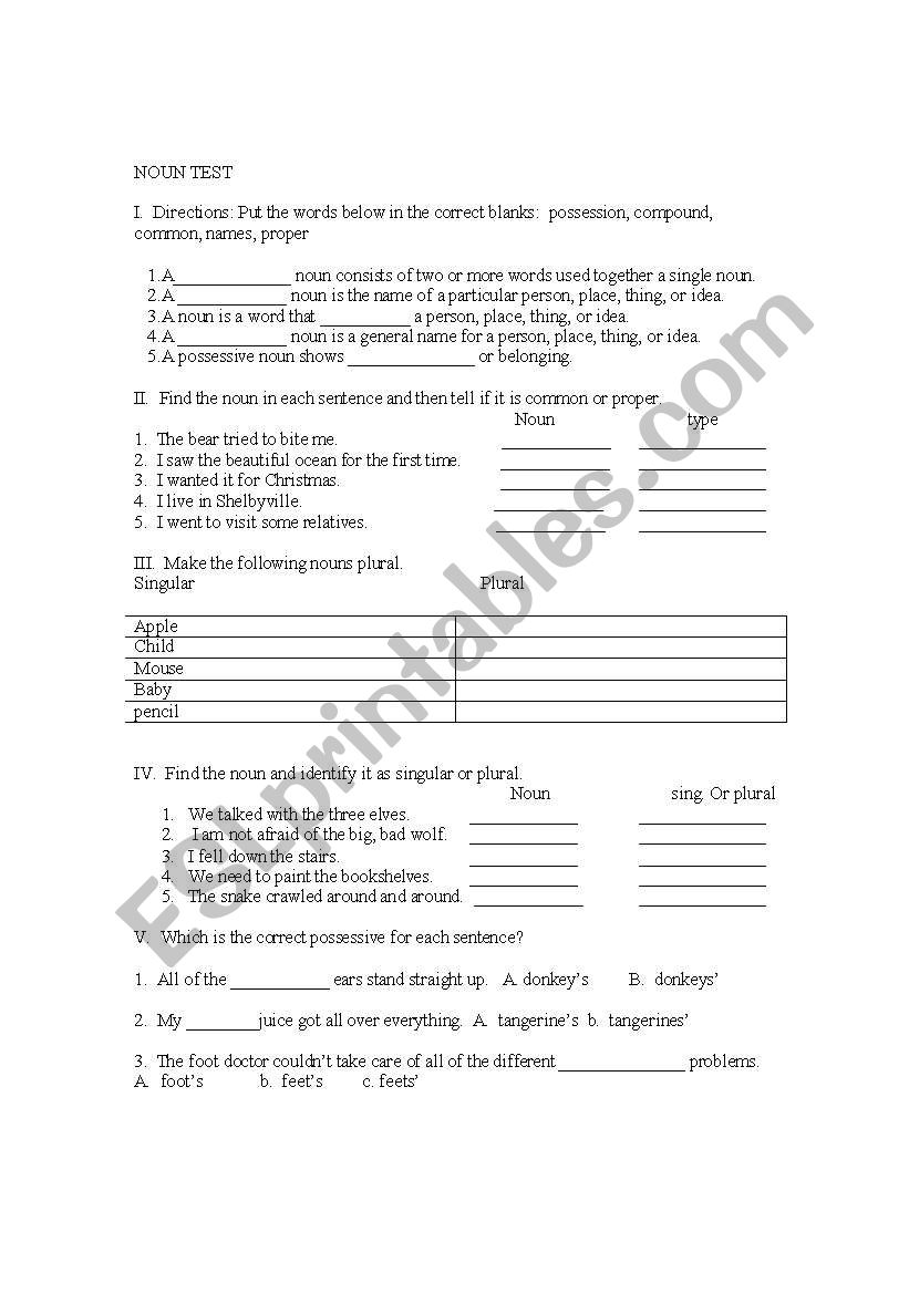 Noun Test or Review worksheet