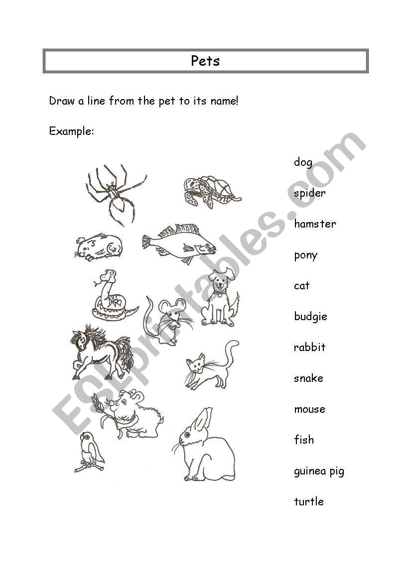 Matching pets worksheet