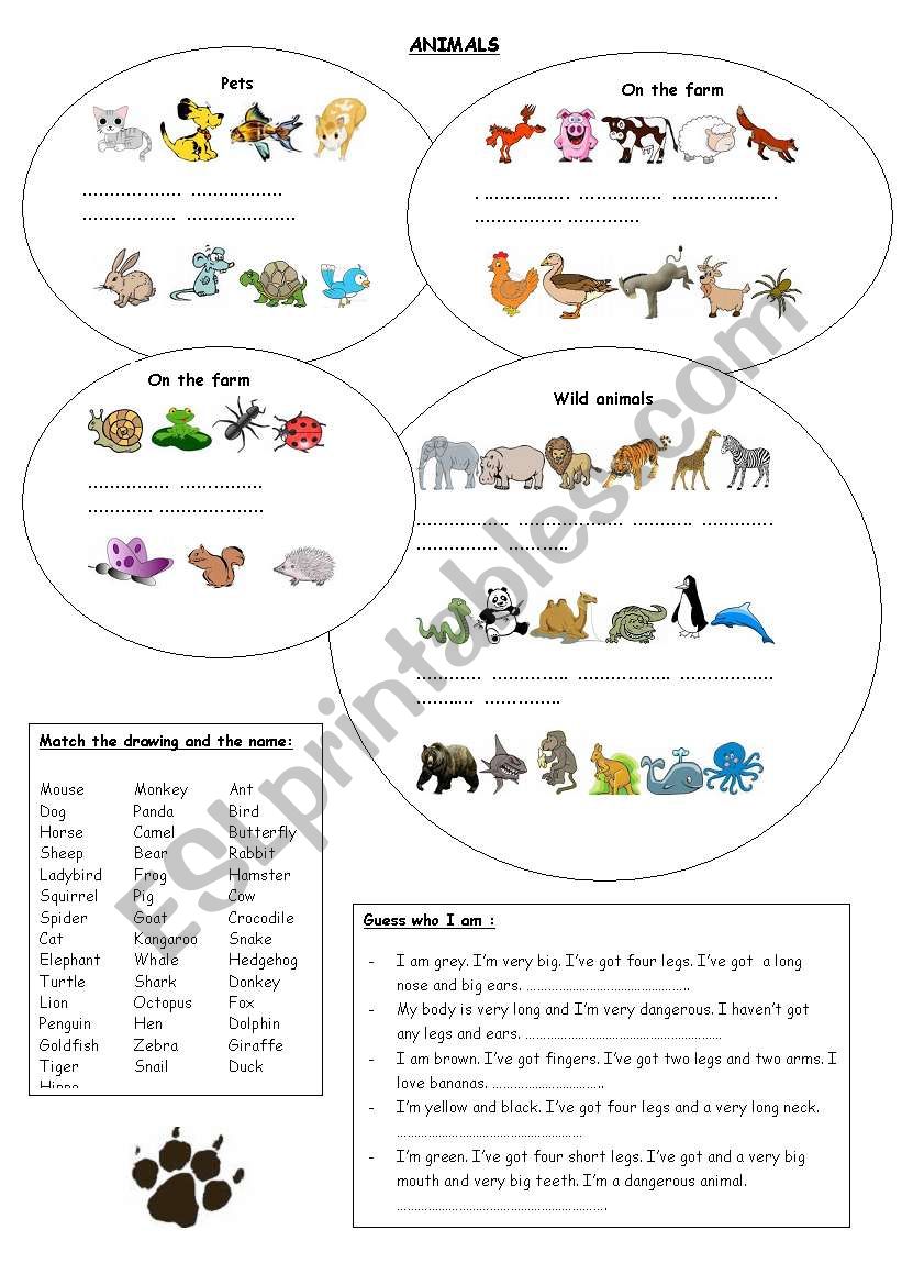 animals worksheet