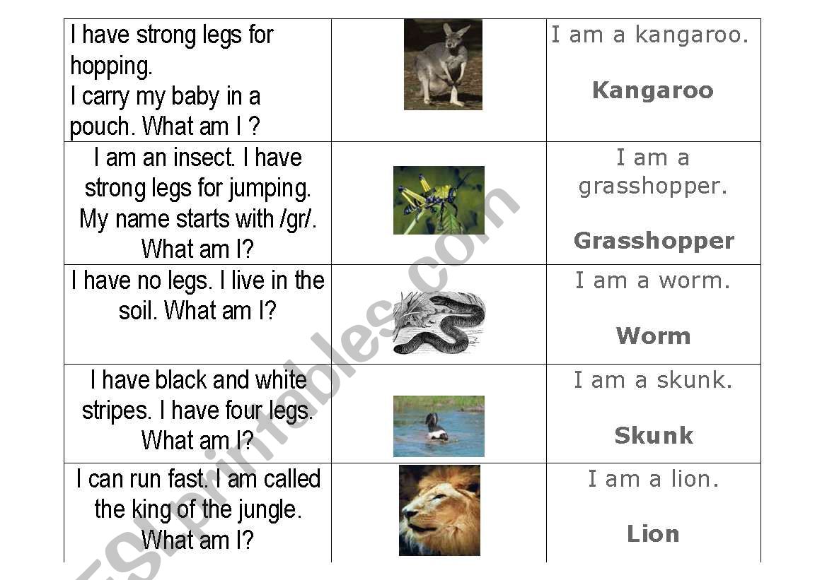 What animal am I?  worksheet