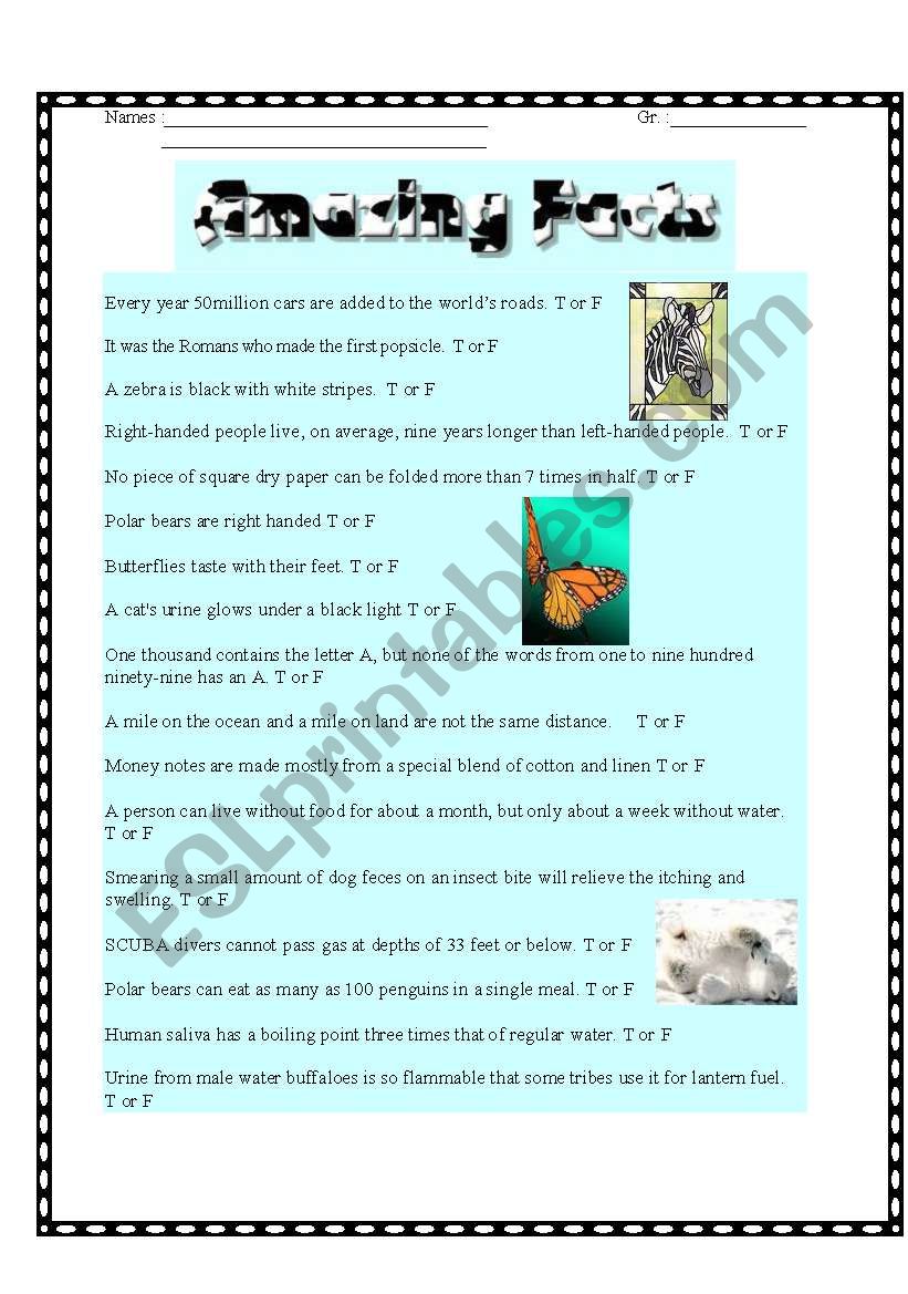 Amazing animals fun facts worksheet