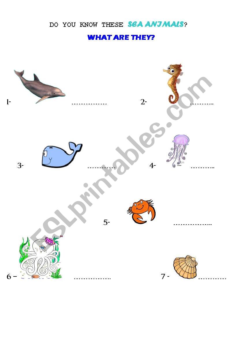 What are these sea animals ? worksheet