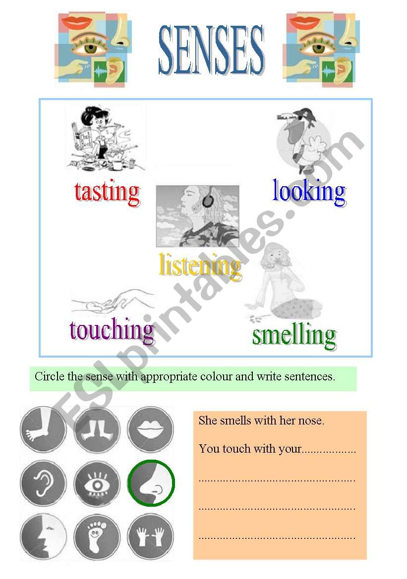 SENSES worksheet