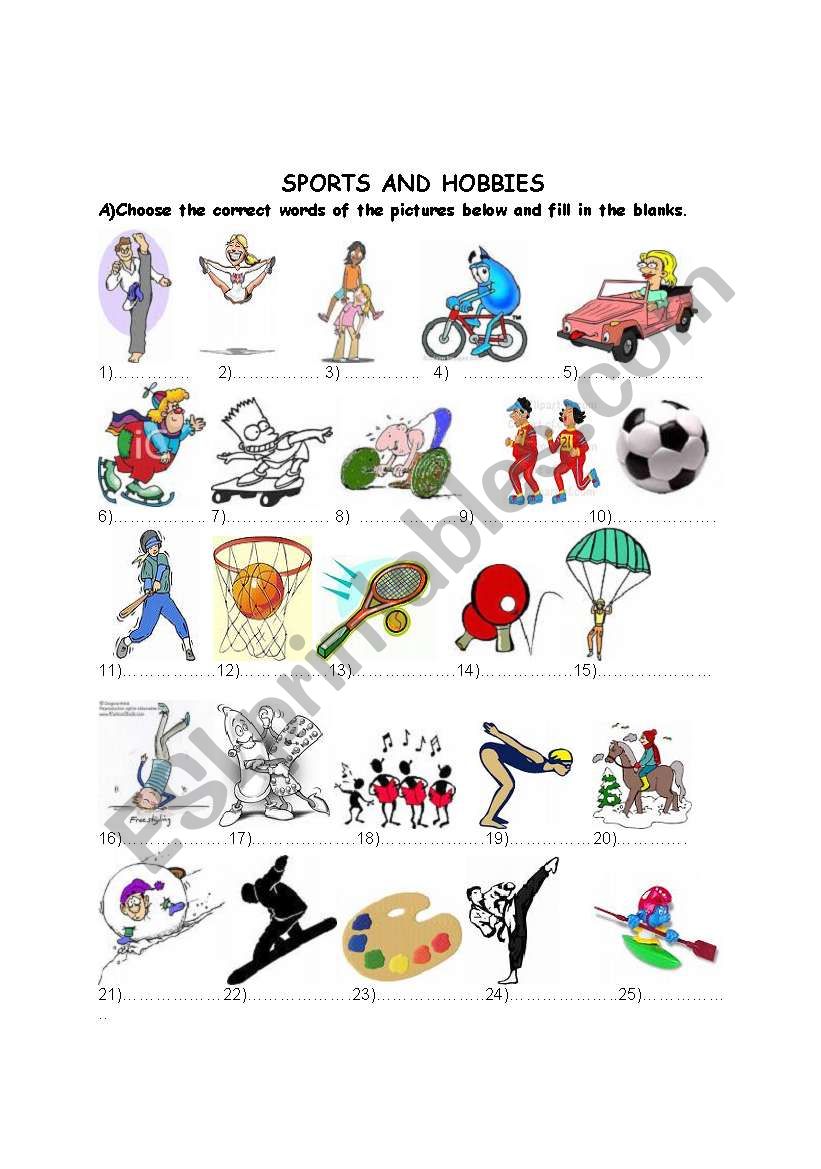 Sports and Hobbies worksheet