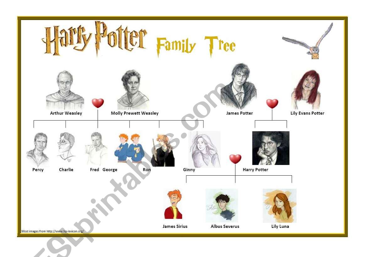 Harry PotterÂ´s Family Tree worksheet