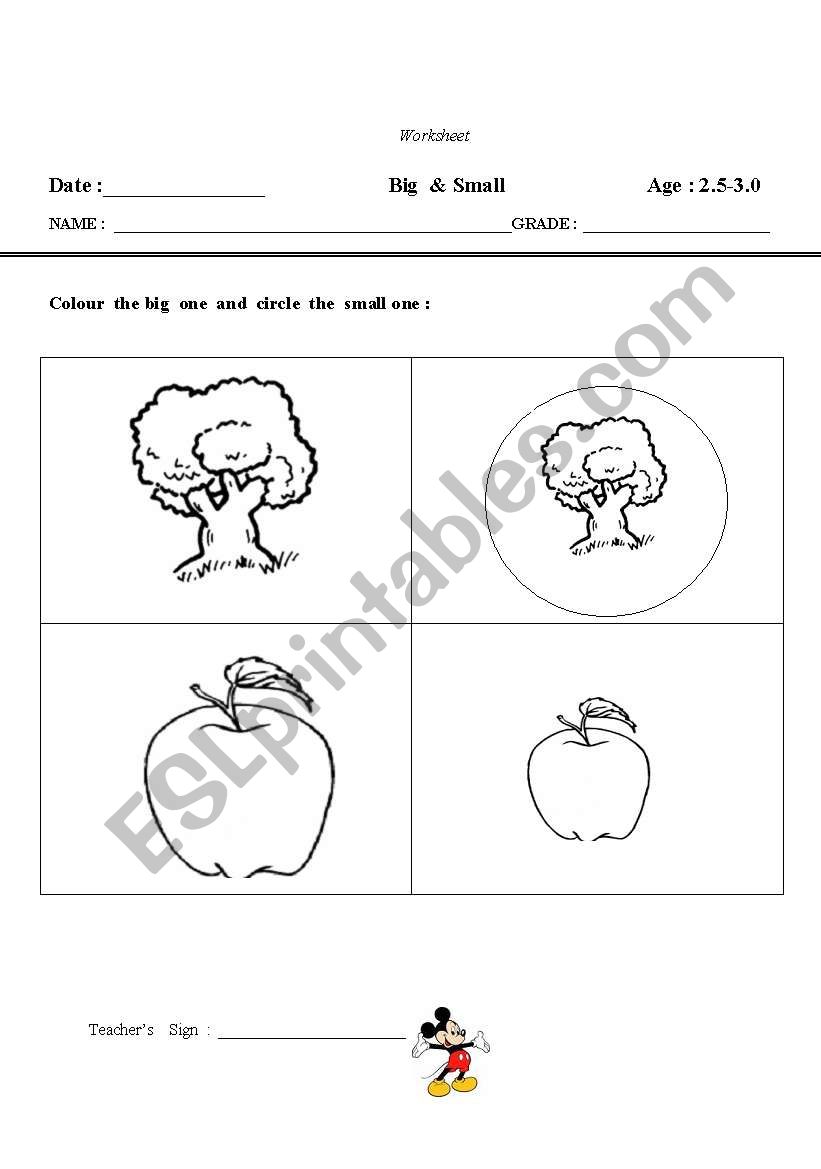 Big & Small worksheet