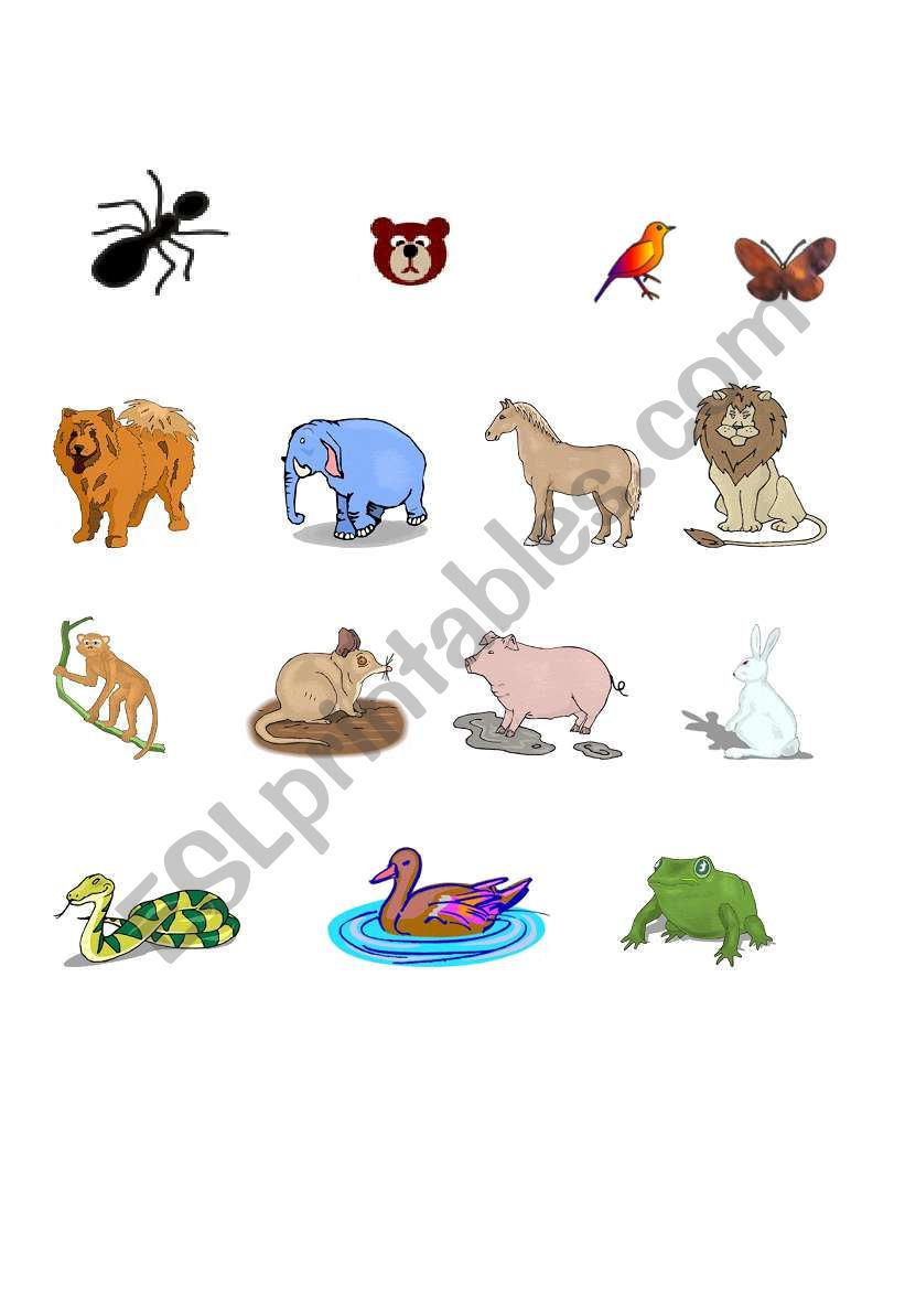 animal worksheet