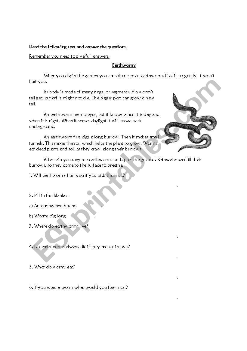 Comprehension worksheet