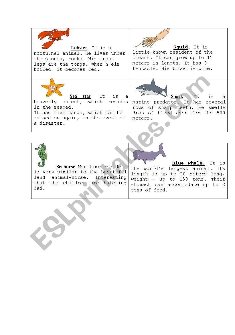 Sea animals worksheet