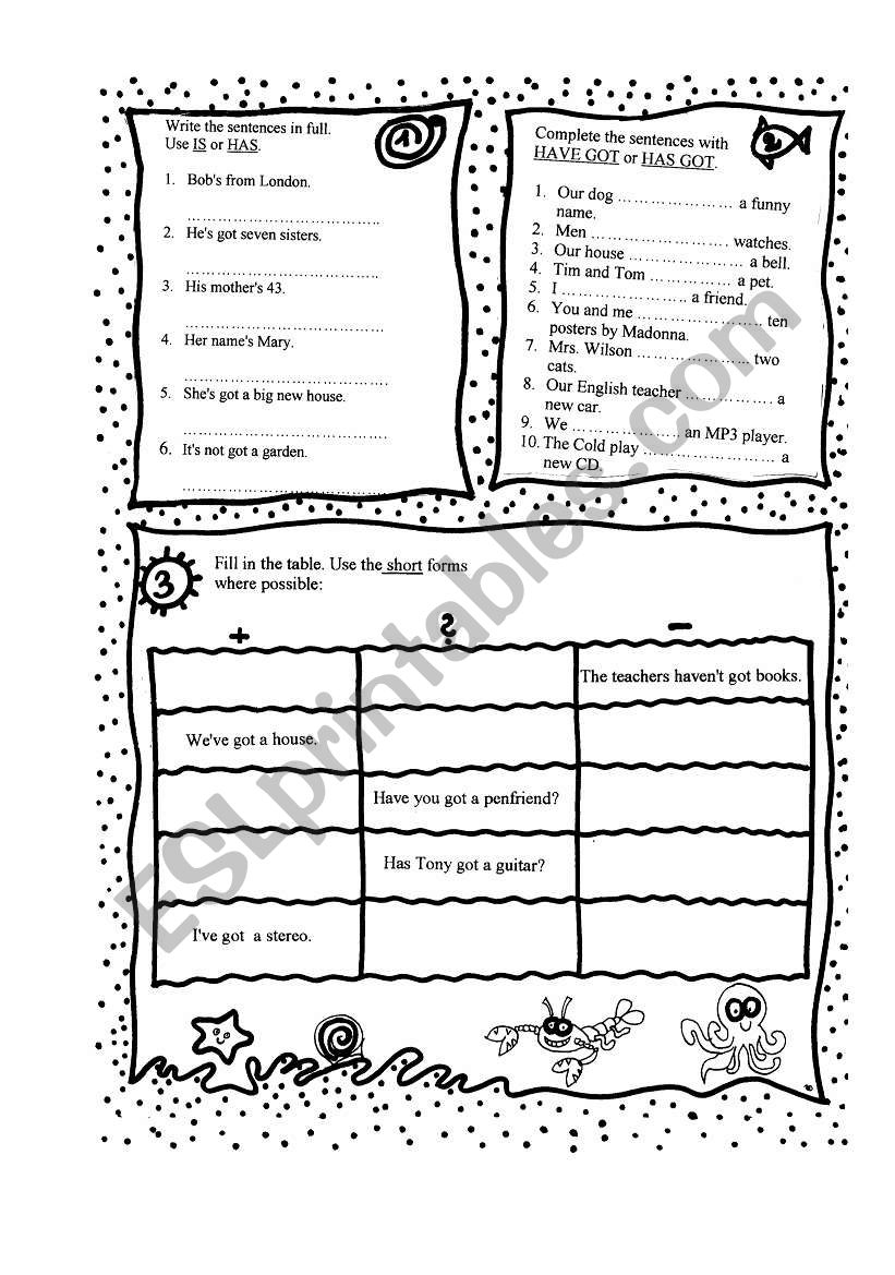 have/has got worksheet