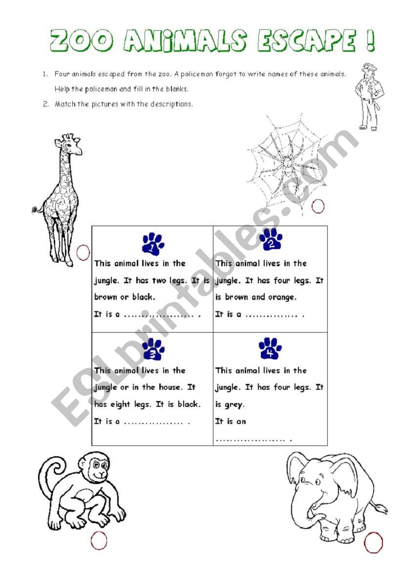 Zoo animals escape! worksheet