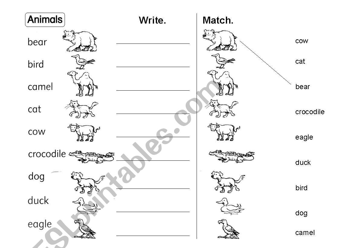 Animals vocabulary worksheet