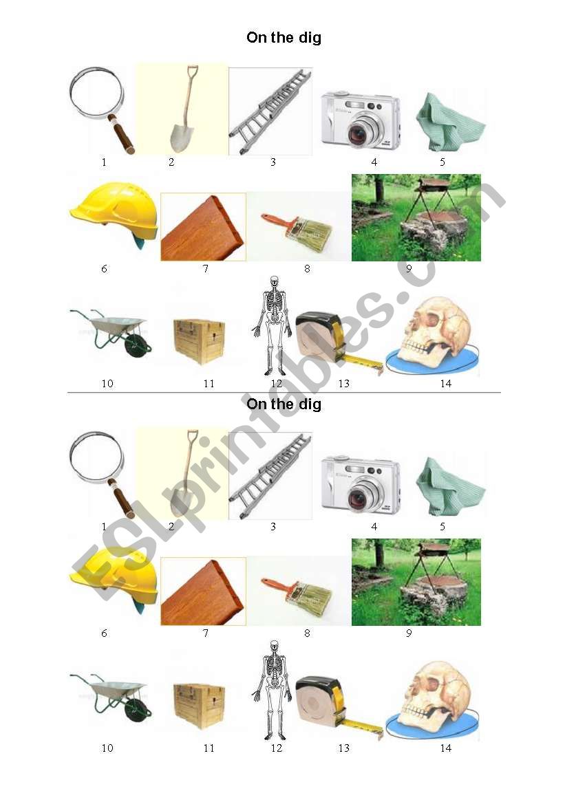 the dig worksheet