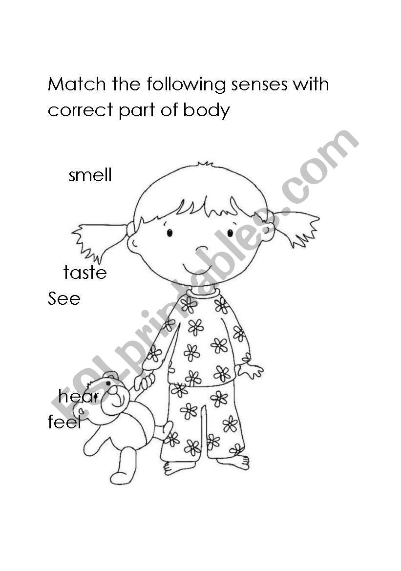 senses worksheet