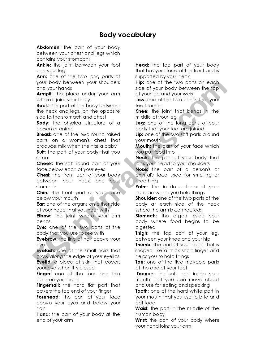 body vocabulary worksheet