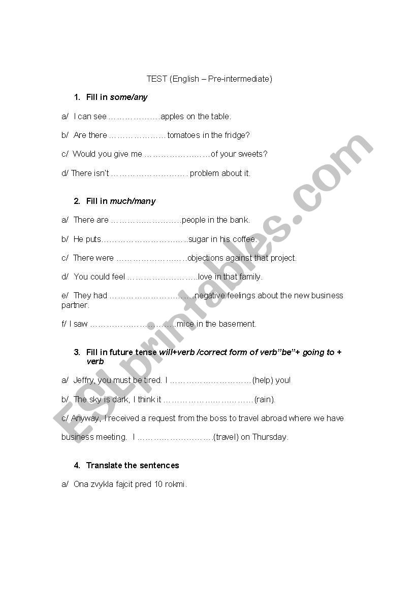 TEST focused on much/many, some/any, future tense, modals