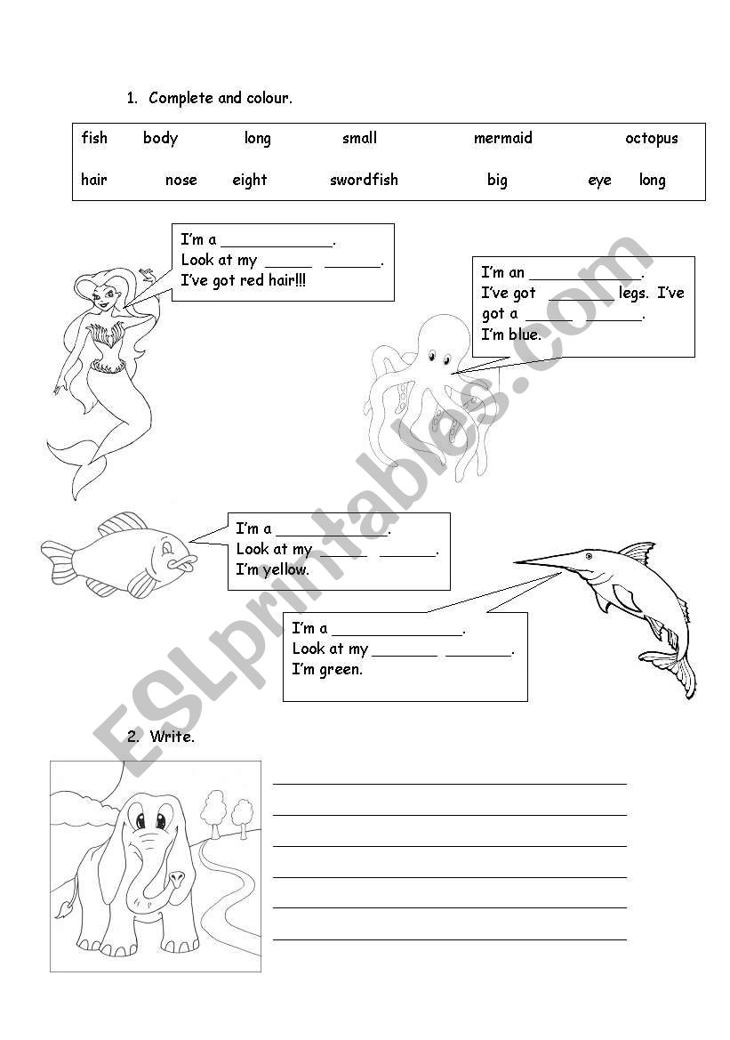 Big, small, long and short worksheet