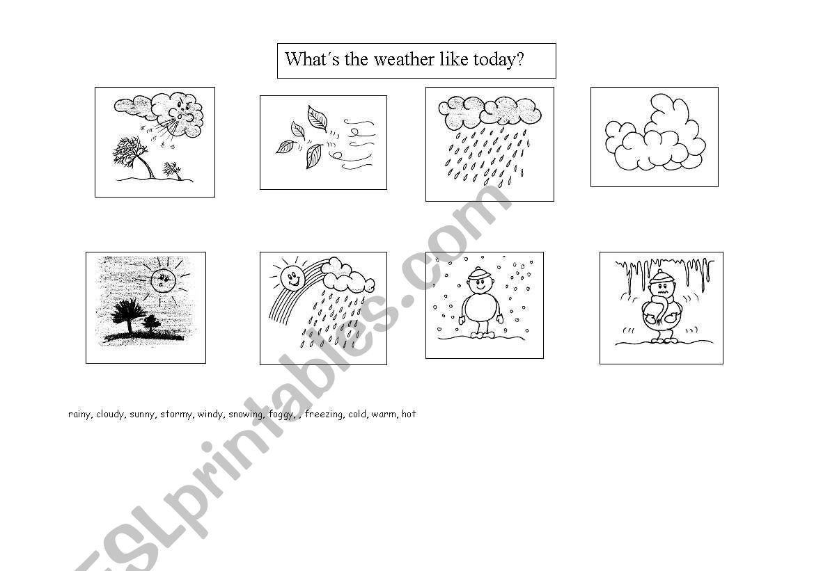 the weather worksheet