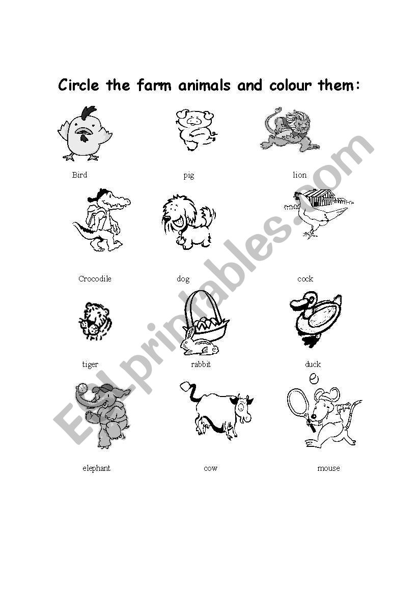 farm animals worksheet