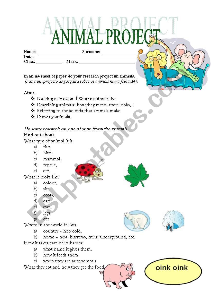 Animal Project worksheet