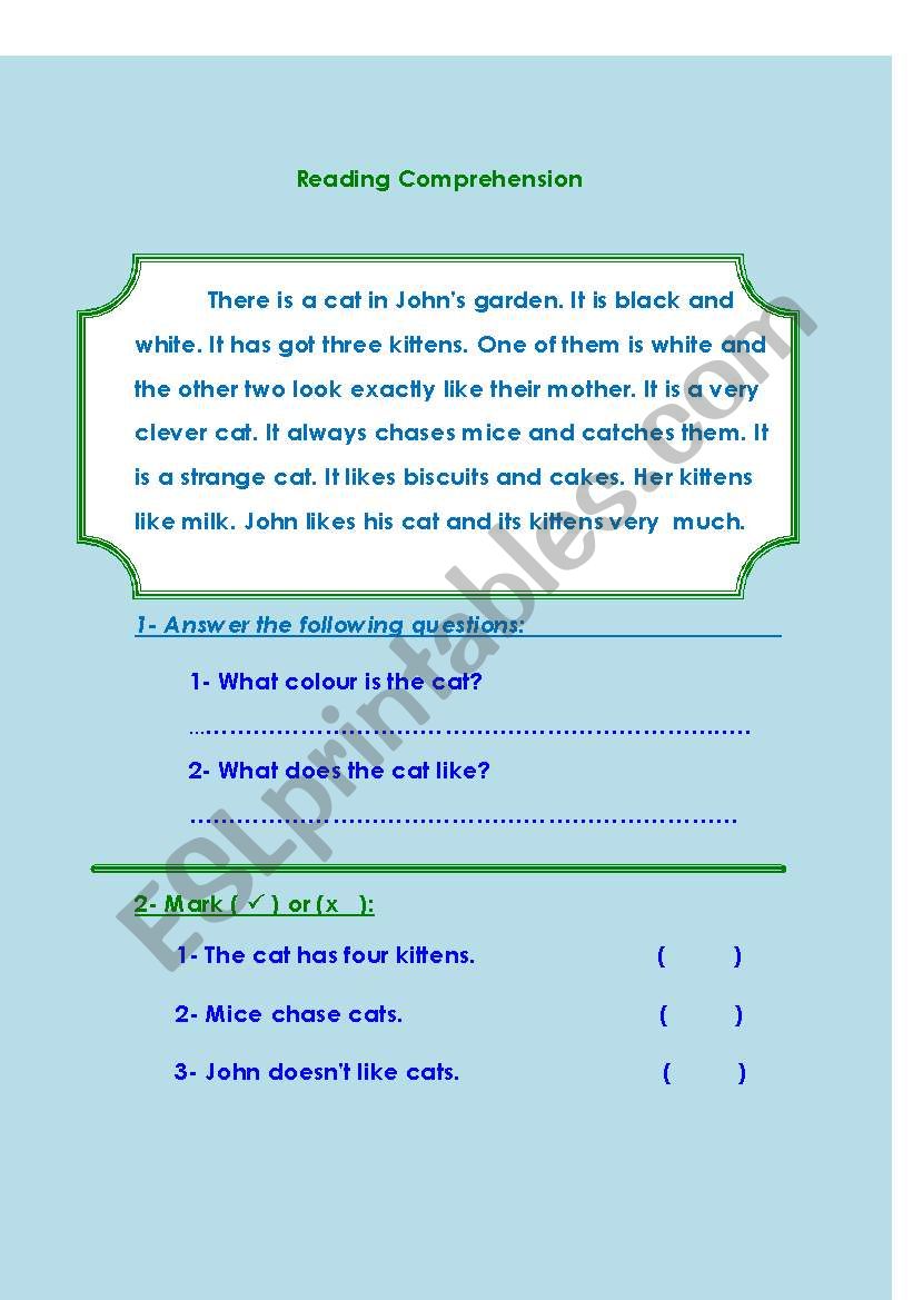 reading comprehension worksheet