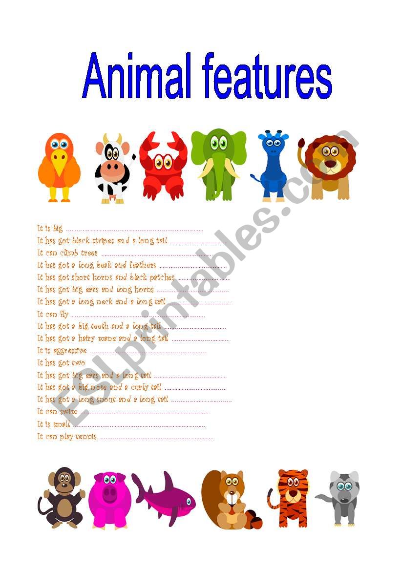 Animal features worksheet