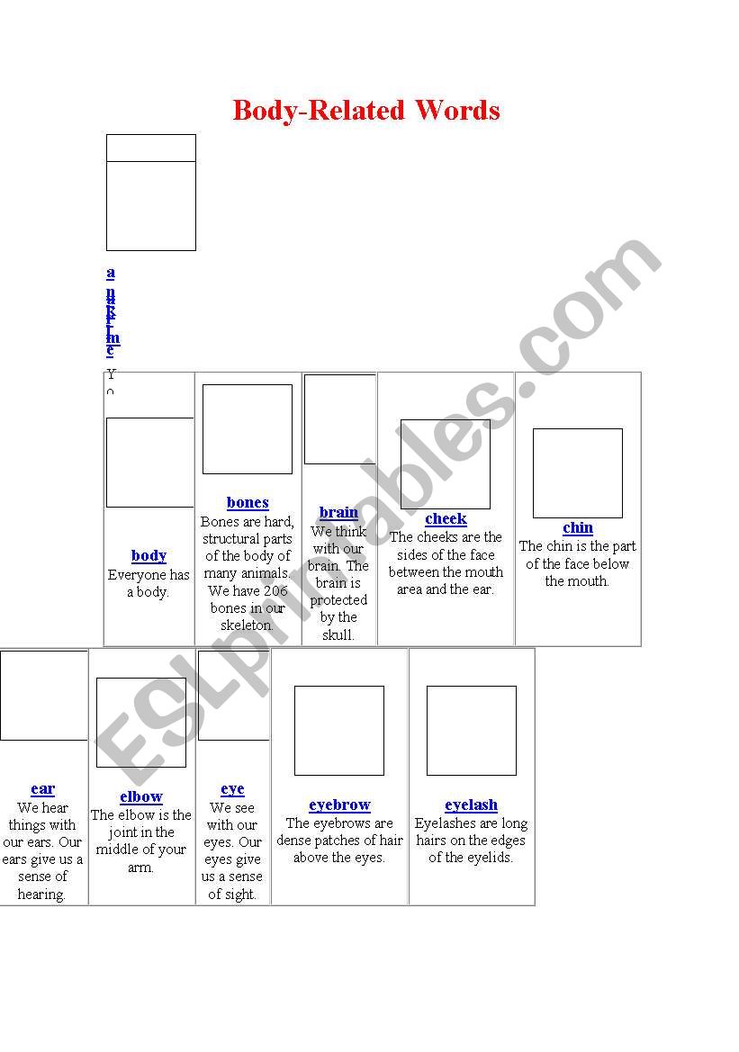 Body-related words worksheet