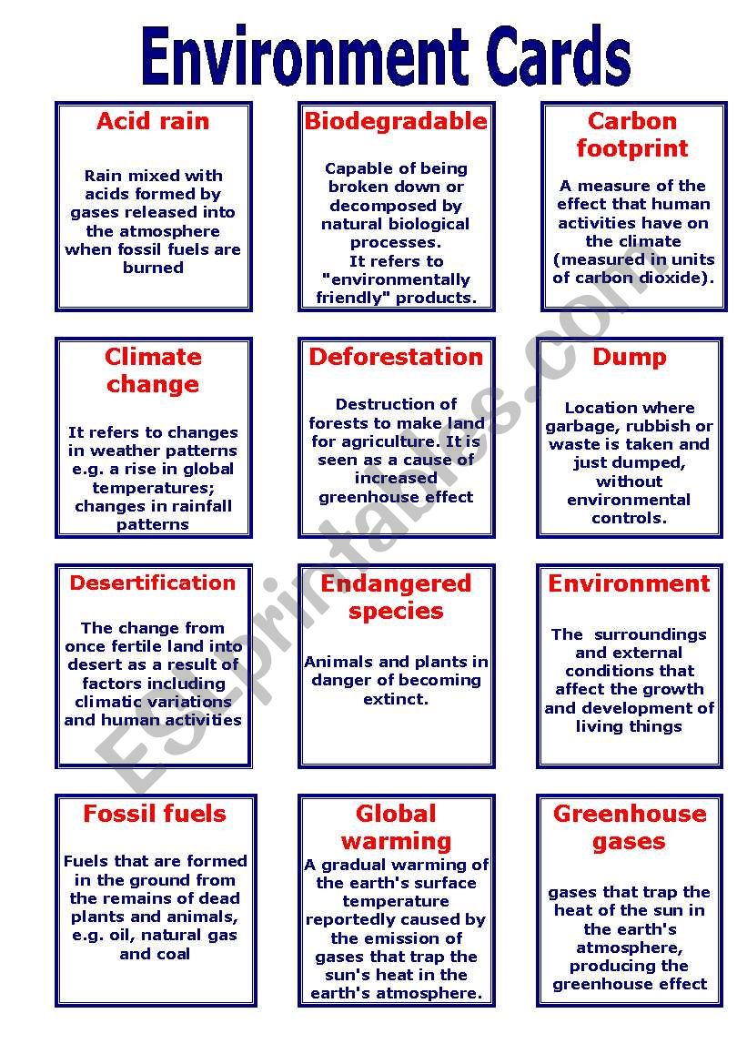 Environment Cards worksheet