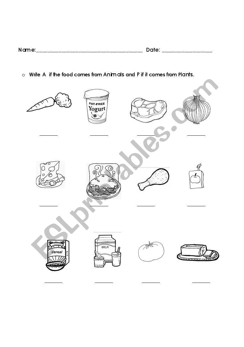 Where  does food come from? worksheet