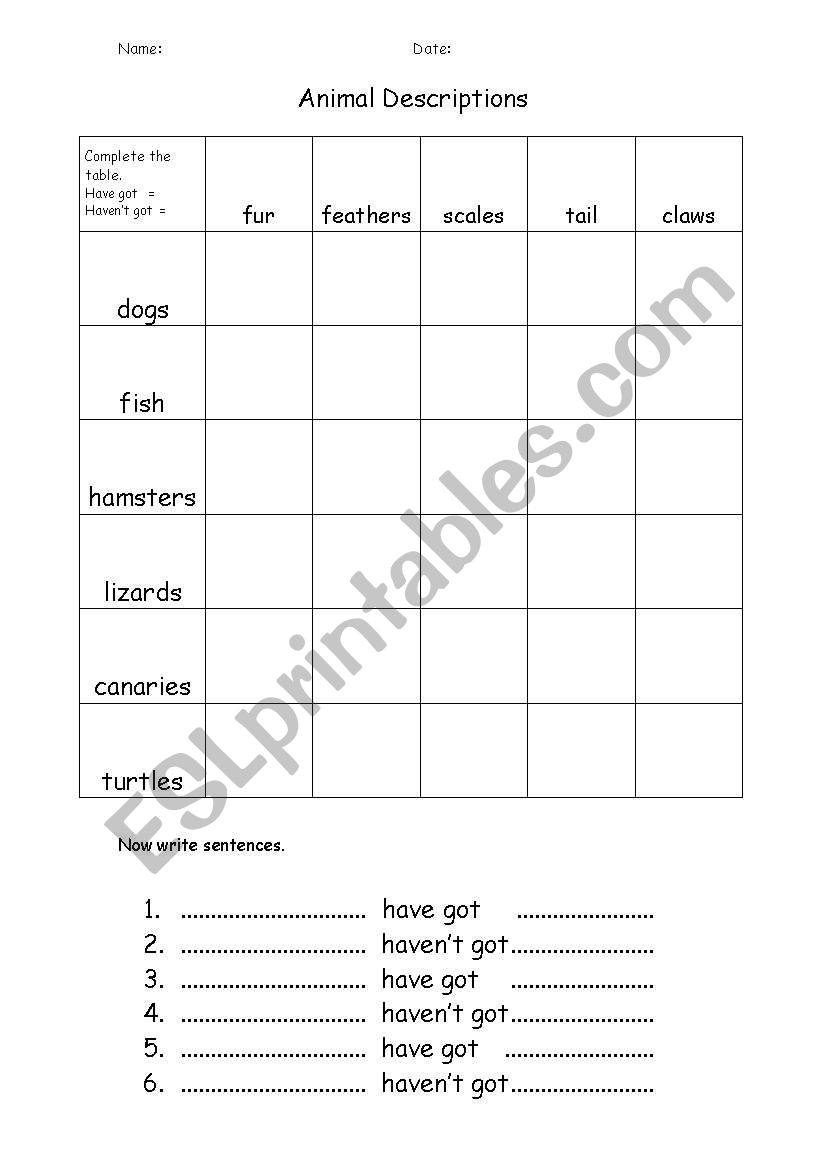 What Have Animals Got? worksheet