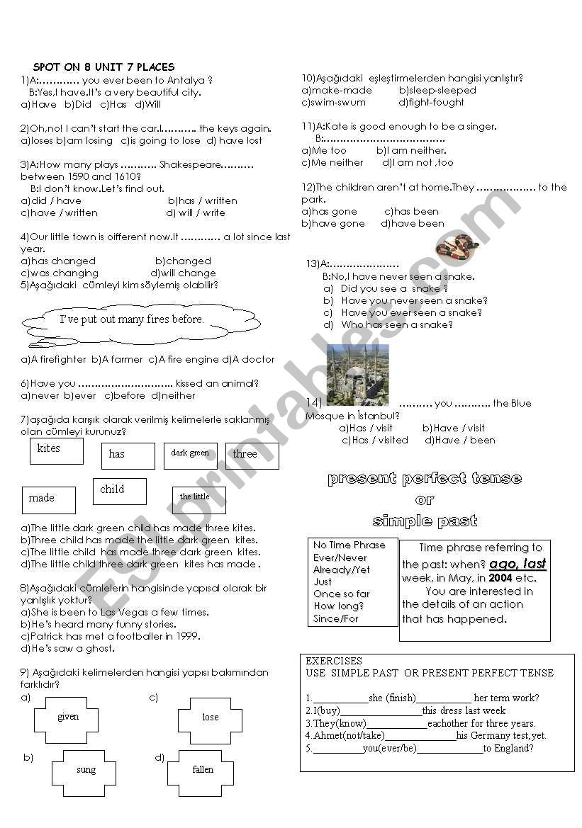 spot on test 8th year worksheet